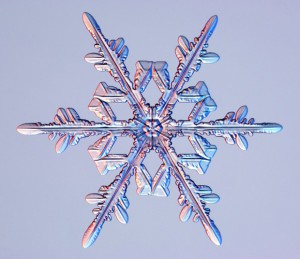 05_snowflake_stellar_1