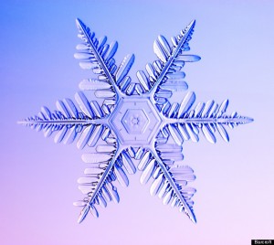Kenneth Libbrecht's Stunning Snowflake Pictures